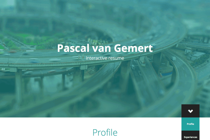 Pascal van Gemert website preview